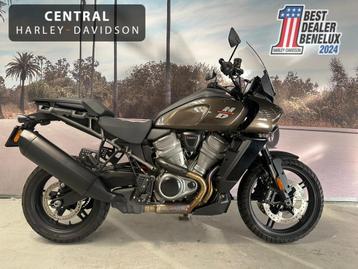 Harley-Davidson Pan America 1250 beschikbaar voor biedingen