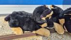 Heren pantoffels Duitse Herder, hond, maat L (44-47). S47, Tweedehands verkoop, Tweedehands verkoop, Ophalen of Verzenden, Gedragen