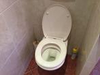 LAATSTE KANS: hangend toilet pergamon kleurig, Ophalen, Gebruikt, Toilet