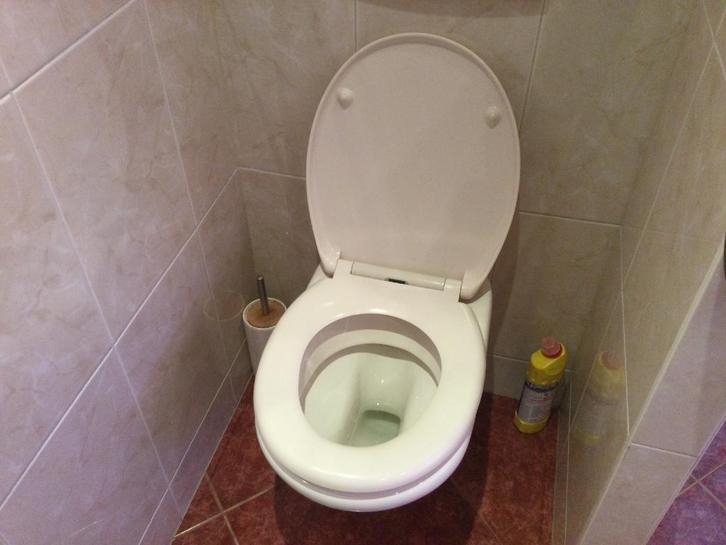 LAATSTE KANS: hangend toilet pergamon kleurig, Doe-het-zelf en Verbouw, Sanitair, Gebruikt, Toilet, Ophalen
