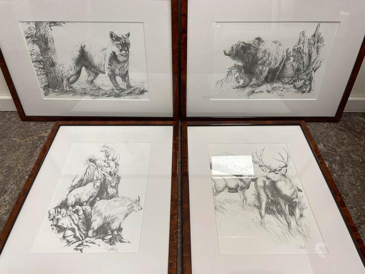 Set van 4 Ingelijste Dieren Tekeningen, Antiek en Kunst, Kunst | Tekeningen en Foto's, Ophalen of Verzenden