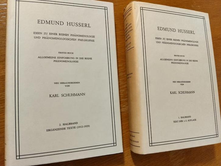 Nr. 1029 Edmund Husserl, 4 boeken Husserliana, Boeken, Filosofie, Gelezen, Algemeen, Ophalen of Verzenden