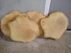 Hout schijven boom schijven acaciahout, Doe-het-zelf en Verbouw, Hout en Planken, Ophalen, 25 tot 50 mm, Nieuw, Plank