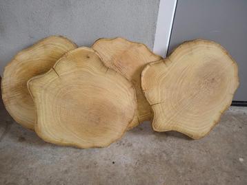 Hout schijven boom schijven acaciahout beschikbaar voor biedingen