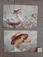 EENDJES 1, Ophalen, Paard