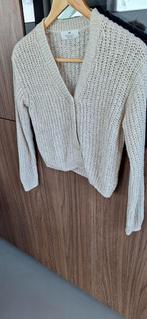 Gebreid vest, HM, Beige, Ophalen of Verzenden, Maat 34 (XS) of kleiner