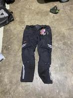 Evolution broek, Ophalen of Verzenden, Nieuw, Dressuur, Onderkleding