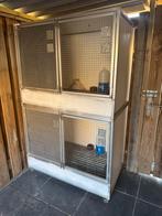 Kweekhok/duivenhok/postduiven/sierduiven, Dieren en Toebehoren, Vogels | Duiven, Meerdere dieren, Postduif