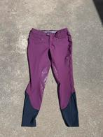 Samshield rijbroek maat 40. Plum, Dieren en Toebehoren, Paardrijkleding, Ophalen of Verzenden, Zo goed als nieuw, Dressuur, Onderkleding