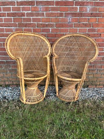 Vintage Rotan Kinderpauwenstoelen - Set van 2 beschikbaar voor biedingen
