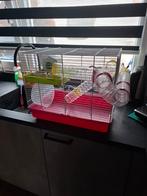 Hamsterkooi met alle toebehoren, Dieren en Toebehoren, Kooi, Minder dan 75 cm, Zo goed als nieuw, Ophalen