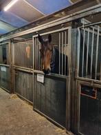 Pensionstal en ook tijdelijke winterstalling mogelijk!, Dieren en Toebehoren, Stalling en Weidegang