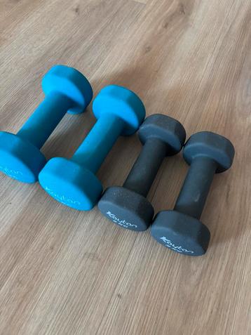  Set neopreen dumbbells – 2 kg + 3 kg beschikbaar voor biedingen