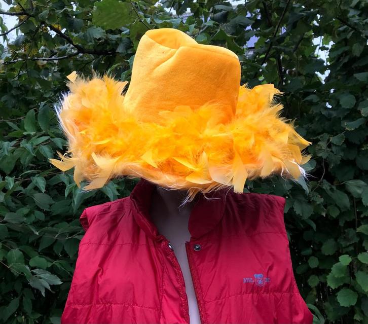 Hoed voor koningsdag EK WK, Hobby en Vrije tijd, Feestartikelen, Zo goed als nieuw, Hoed of Pruik, Oranje of Koningsdag, Ophalen of Verzenden