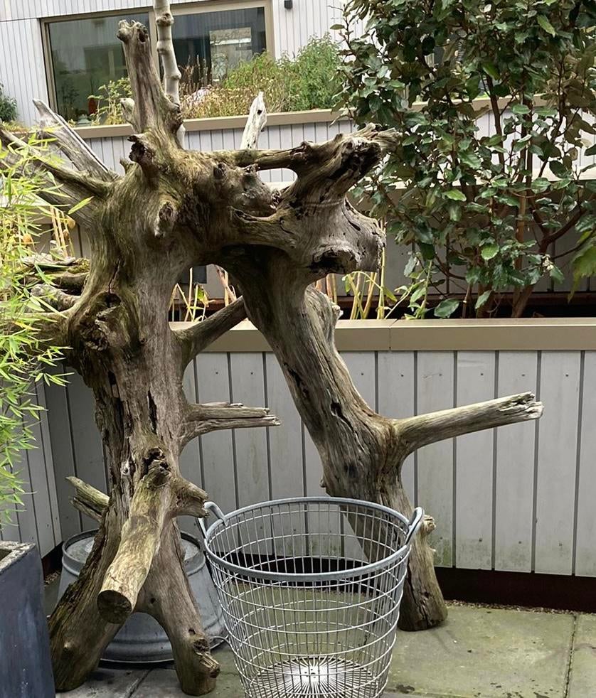 Terrarium hout XL, Dieren en Toebehoren, Ophalen of Verzenden