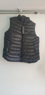 Zwarte Bodywarmer, Kleding | Heren, Bodywarmers, Nieuw, Ophalen of Verzenden, Zwart