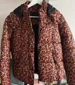 Nieuwstaat Shoeby winterjas maat S, Shoeby, Ophalen of Verzenden, Nieuw, Maat 36 (S)