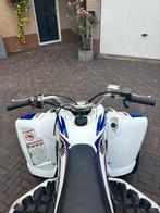 Yamaha raptor 350, Motoren
