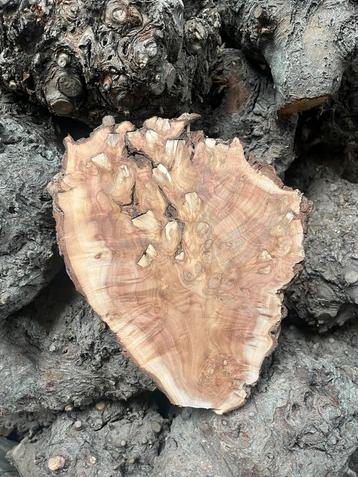 Uniek draai bank hout plataan knot stukken 30 cm zie tekst beschikbaar voor biedingen