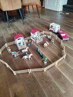 Schleich, Kinderen en Baby's, Ophalen of Verzenden, Zo goed als nieuw, Jongen of Meisje