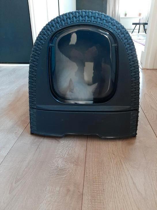 Zwarte Curver Kattenbak, Dieren en Toebehoren, Kattenbakken, Gebruikt, Gesloten, Ophalen of Verzenden