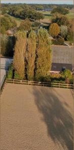 Toplaag 20 x 60 rijbaan, Dieren en Toebehoren