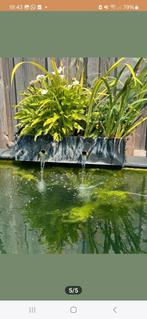 Plantenfilter, Ophalen of Verzenden, Gebruikt