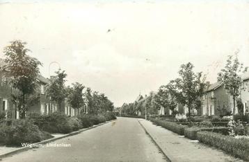 (378-381-029) Wognum Lindenlaan beschikbaar voor biedingen