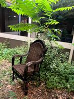 Twee Vintage Rotan Stoelen zwart, Ophalen, Gebruikt, Bruin, Riet of Rotan