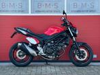SUZUKI SV 650 N ABS (bj 2017), Motoren, Motoren | Suzuki, Bedrijf, Naked bike