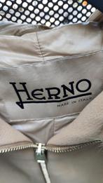 Herno dames jas camel kleur, Ophalen of Verzenden, Zo goed als nieuw, Maat 46/48 (XL) of groter, Bruin