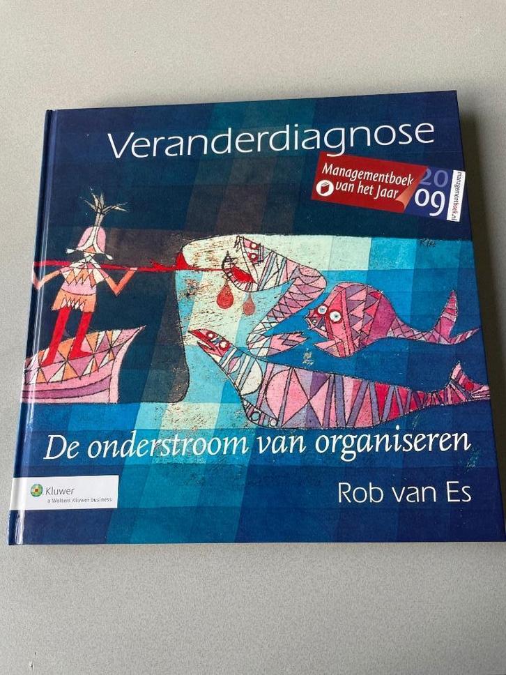 Veranderdiagnose -Rob van Es, Boeken, Economie, Management en Marketing, Zo goed als nieuw, Management, Ophalen of Verzenden