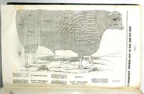 [Landbouw] La Revue Agricole 1846-7 Tractor Algerije Olijven, Antiek en Kunst, Antiek | Boeken en Bijbels, Ophalen of Verzenden