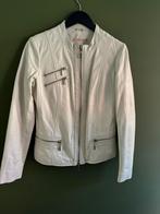 Leer jasje, Kleding | Dames, Maat 38/40 (M), Beige, Ginger, Ophalen of Verzenden