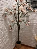 Kunstplant boom magnolia, Ophalen, Zo goed als nieuw