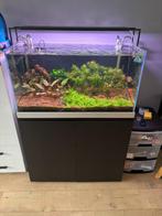 Aquarium + Kast + Lamp + filter + co2 - Lees beschrijving, Ophalen, Zo goed als nieuw, Overige typen