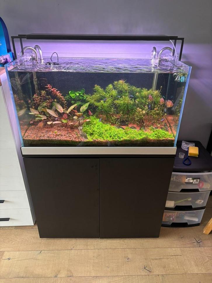 Aquarium + Kast + Lamp + filter + co2 - Lees beschrijving, Dieren en Toebehoren, Vissen | Aquaria en Toebehoren, Zo goed als nieuw