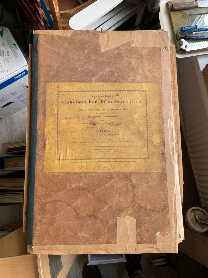 Antieke Plantenatlas met Prenten nr 13 van 24, Antiek en Kunst, Antiek | Schoolplaten, Natuur en Biologie, Ophalen