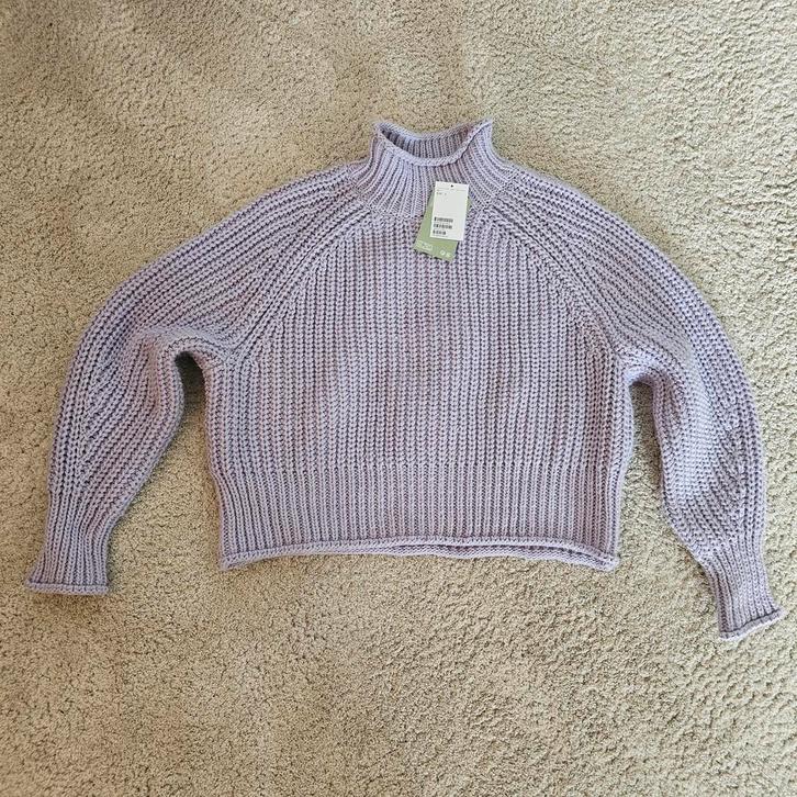 Dames H&M wollen trui paars maat L - NIEUW!, Kleding | Dames, Truien en Vesten, Nieuw, Maat 42/44 (L), Paars, Ophalen of Verzenden