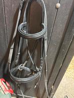 Bitloos hoofdstel, Dieren en Toebehoren, Paarden en Pony's | Hoofdstellen en Tuigage, Ophalen of Verzenden, Gebruikt, Dressuur