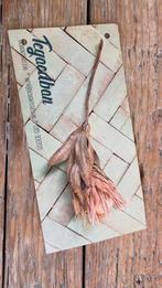 Tegoedbon DesignTegels waarde €95, Ophalen, Wandtegels, Nieuw, Minder dan 20 cm