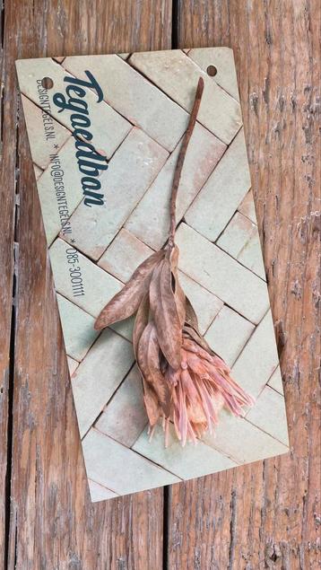 Tegoedbon DesignTegels waarde €95 beschikbaar voor biedingen