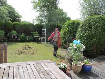 Tuinonderhoud, snoeiwerk, terras en tegels reinigen beschikbaar voor biedingen