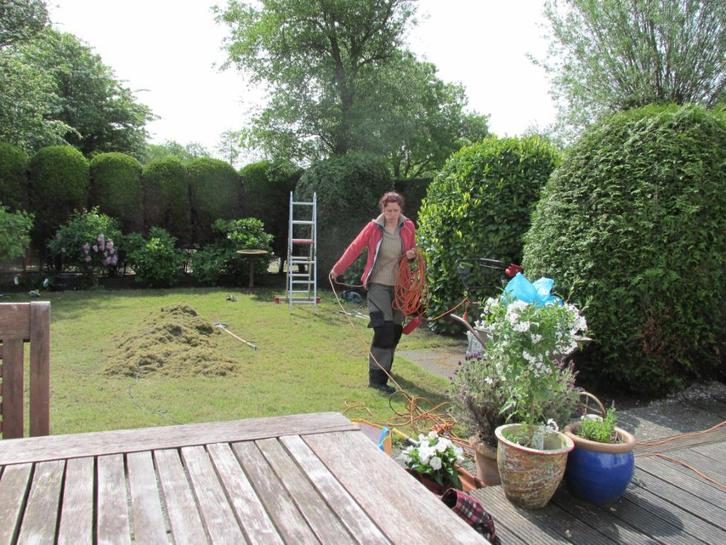 Tuinonderhoud, snoeiwerk, terras en tegels reinigen, Diensten en Vakmensen, Tuinmannen en Stratenmakers, Tuinonderhoud of Snoeiwerk