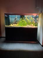 Oase 600 matzwart, Dieren en Toebehoren, Ophalen of Verzenden, Zo goed als nieuw, Leeg aquarium