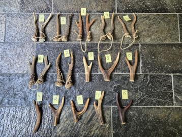 Ree gewei stangen set € 7.50 Gewei punten € 6.50 per stuk beschikbaar voor biedingen