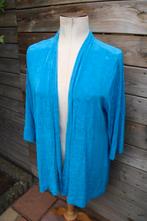 Vest blauw Ulla popken mt 42-44 Vaste prijs, Kleding | Dames, Blauw, Maat 42/44 (L), Ulla Popken, Ophalen of Verzenden