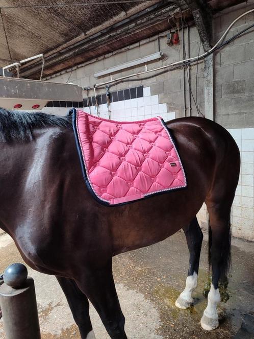 Dressuur dekjes, Dieren en Toebehoren, Paarden en Pony's | Dekens en Dekjes, Ophalen of Verzenden