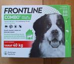 6 stuks Frontline Combo Spot on Hond XL 40 - 60 KG, Ophalen of Verzenden, Nieuw
