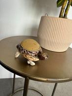 Schildpad speldenkussen van schelp, Antiek en Kunst, Ophalen of Verzenden